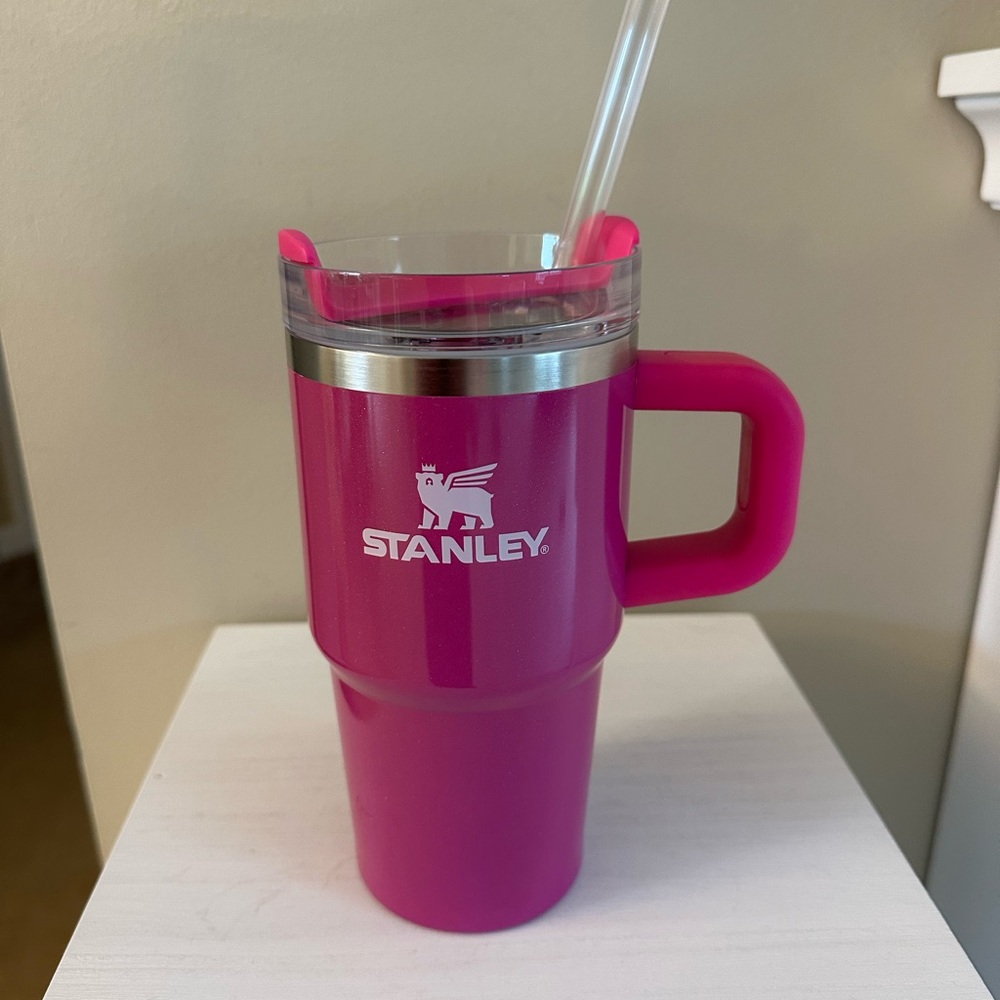 Stanley 20oz punch shimmer Travel Mug with Handle
